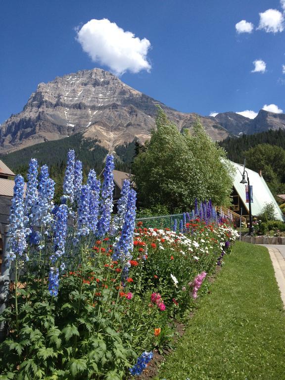 Canadian Rockies Inn - Adults Only Field Esterno foto